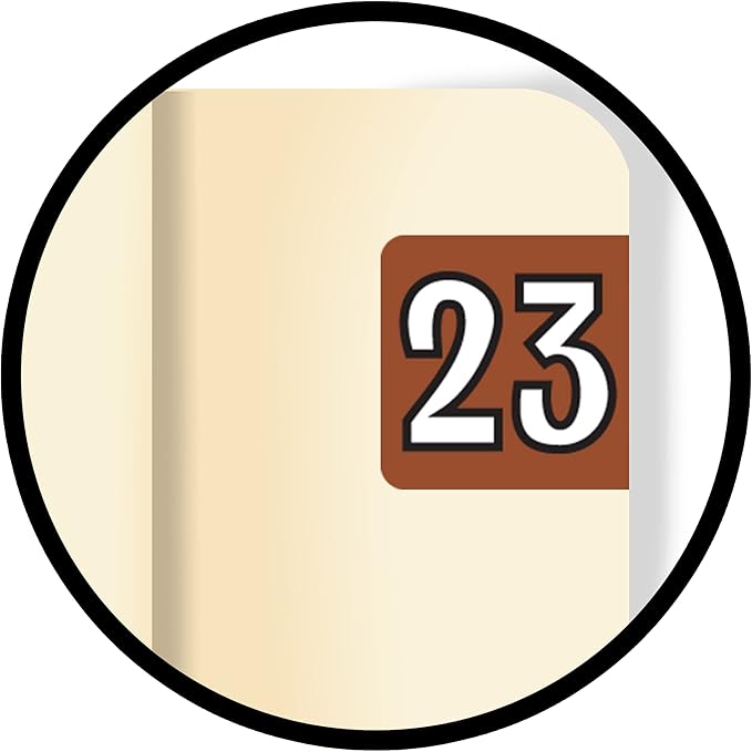 2023 MINI Year Stickers, Doctor Stuff 2023 Chart Stickers, Brown Colored, Colwell Jewel Tone Style, USA Made Year Stickers for End Tab File Folders, 250/Pack, 1 Package, 1/2" x 1" - Small Labels