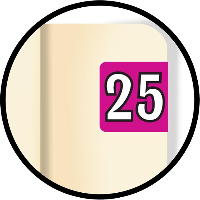 MINI 2025 Year Labels, Doctor Stuff 2025 Chart Stickers, Fuchsia Color Coded, Colwell Jewel Tone Style, USA Made Year Stickers for End Tab File Folders, 250/Pack, 1 Package, 1/2" x 1" - Small Labels