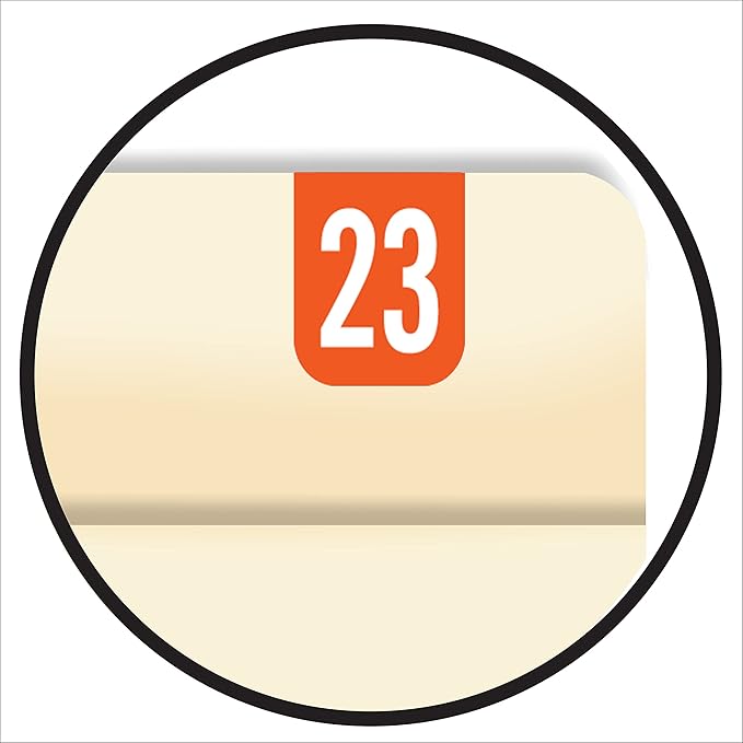 2023 MINI Year Stickers, Doctor Stuff 2023 Chart Stickers, Dark Orange Colored, Tab 1308 Style, USA Made Year Stickers for Top Tab File Folders, 500/Roll, 1 Roll, 1/2 x 1-1/8"