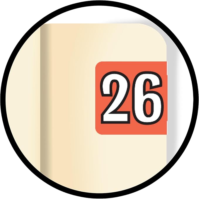 MINI 2026 Year Labels, Doctor Stuff 2026 Chart Stickers, Red Color Coded, Colwell Jewel Tone Style, USA Made Year Stickers for End Tab File Folders, 250/Pack, 1 Package, 1/2" x 1" - Small Labels