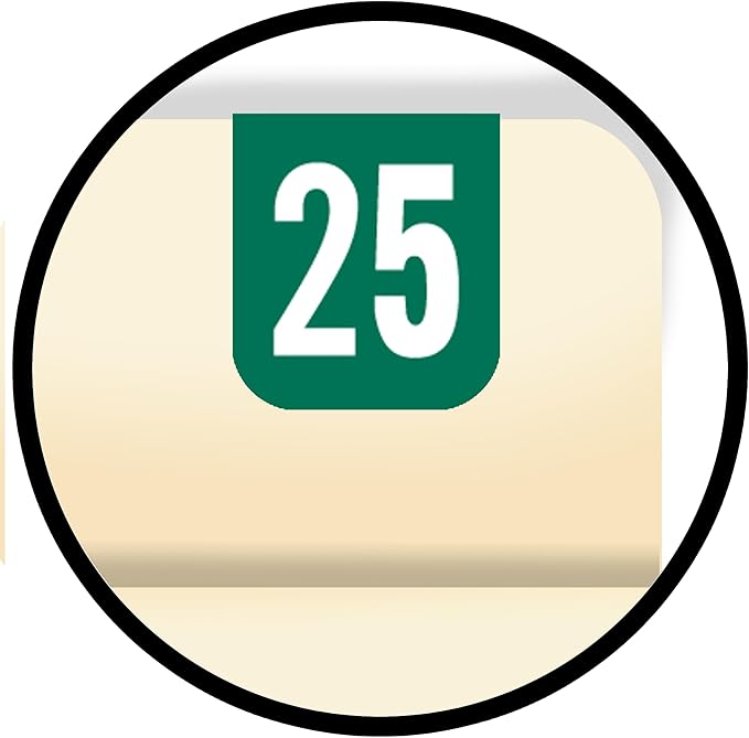 MINI 2025 Year Labels, Doctor Stuff 2025 Chart Stickers, Green Color Coded, Tab 1308 Style, USA Made Year Stickers for Top Tab File Folders, 500 Labels/Roll in a Dispenser Box, 1/2 x 1-1/8"