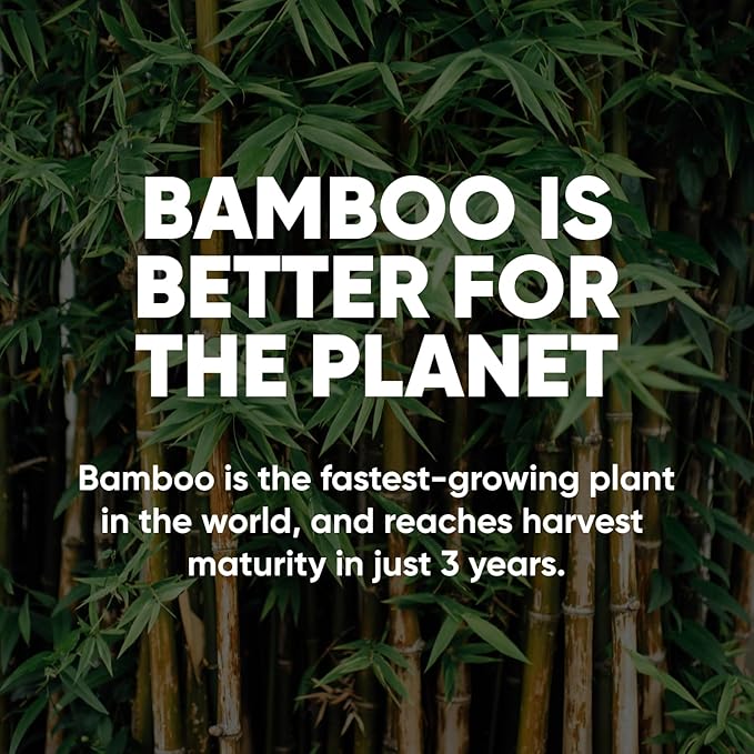 Save Trees Bamboo Paper Towels 40pk - Ultra Absorbent & Durable Eco-Friendly Paper Towels - FSC-Certified, Chlorine-Free