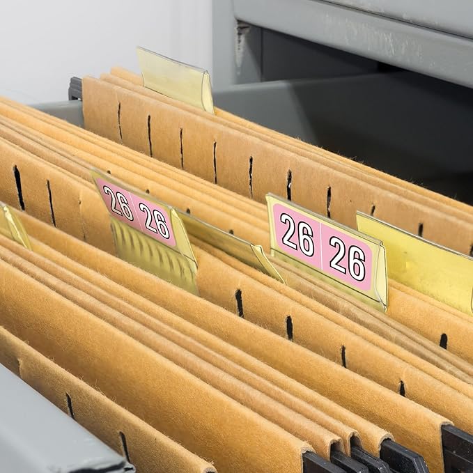 Teling 1000 Pieces 2026 Year Stickers File Folder Year Labels Rectangle Coded Colored Stickers Self Adhesive End Labels Office Supplies, 2 Roll, 3/4" x 1-1/2"(Pink)