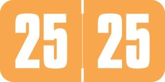 2025 Year Labels, Doctor Stuff 2025 Chart Stickers, Light Orange Color Coded, Safeguard Style, USA Made Year Stickers for End Tab File Folders, 500/Roll, 1 Roll, 3/4" x 1-1/2"