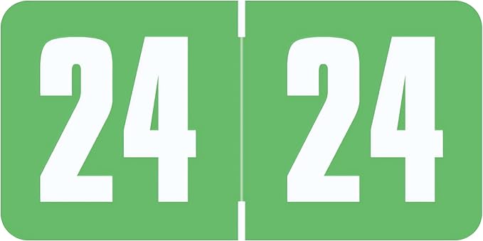 2024 Year Labels, Doctor Stuff 2024 Chart Stickers, Light Green Color Coded, Safeguard Style, USA Made Year Stickers for End Tab File Folders, 500/Roll, 1 Roll, 3/4" x 1-1/2"