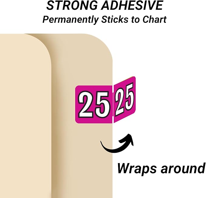 MINI 2025 Year Labels, Doctor Stuff 2025 Chart Stickers, Fuchsia Color Coded, Colwell Jewel Tone Style, USA Made Year Stickers for End Tab File Folders, 250/Pack, 1 Package, 1/2" x 1" - Small Labels