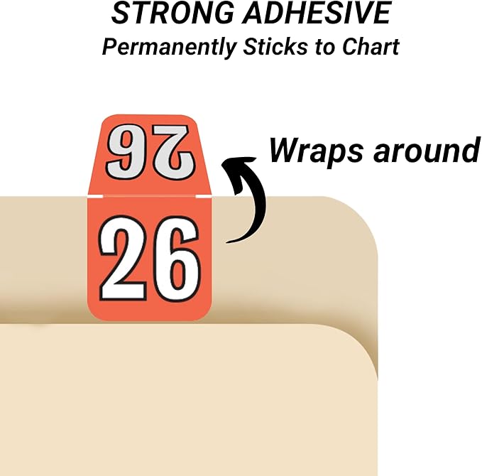 2026 Year Stickers, Doctor Stuff 2026 Chart Stickers, Red/Black Color Coded, 1-1/2" high x 3/4" Wide Colwell Jewel Tone Style, USA Made Year Labels for Top Tab File Folders, 500/Roll, 1 Roll