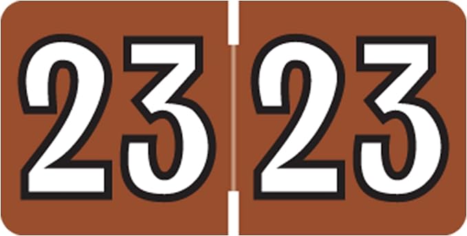 2023 MINI Year Stickers, Doctor Stuff 2023 Chart Stickers, Brown Colored, Colwell Jewel Tone Style, USA Made Year Stickers for End Tab File Folders, 250/Pack, 1 Package, 1/2" x 1" - Small Labels