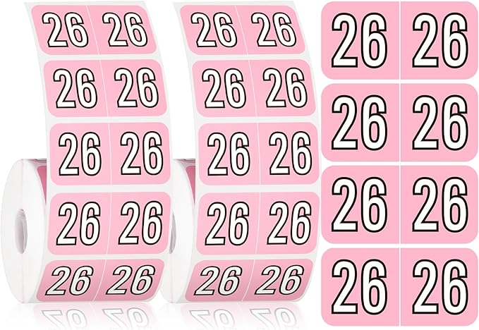 Teling 1000 Pieces 2026 Year Stickers File Folder Year Labels Rectangle Coded Colored Stickers Self Adhesive End Labels Office Supplies, 2 Roll, 3/4" x 1-1/2"(Pink)