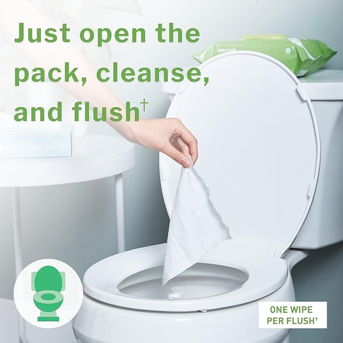 McKesson Adult Flushable Wet Wipes - 144 Count (3 Pack of 48) - Aloe & Vitamin E, Plant-Based Cleansing Wipes, Unscented