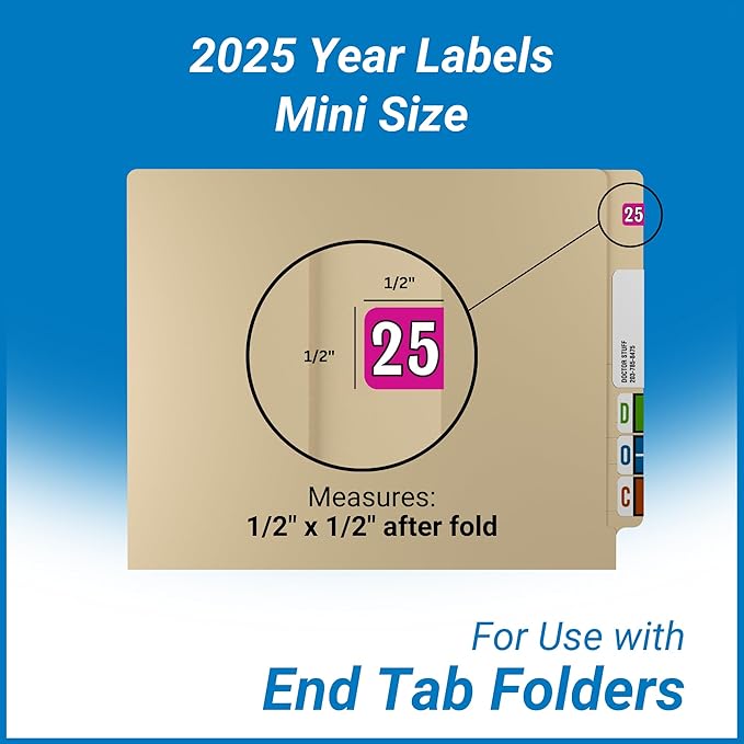 MINI 2025 Year Labels, Doctor Stuff 2025 Chart Stickers, Fuchsia Color Coded, Colwell Jewel Tone Style, USA Made Year Stickers for End Tab File Folders, 250/Pack, 1 Package, 1/2" x 1" - Small Labels