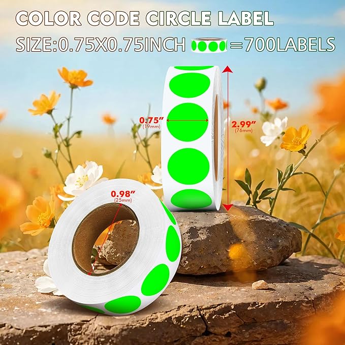 ‎‎WANSTE 10Rolls 10000PCS 0.75 Inch Small Fluorescent Green Sticky Tags, Permanent Sticky Dot Color Code Labels in Dispenser Box,Circle Blank Labels Total for Documents, Inventory,CDs,Garage Sales