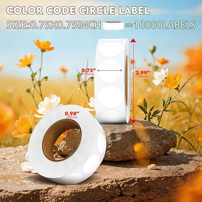‎‎WANSTE 10Rolls 10000PCS 0.75 Inch Small White Circle Sticker, Permanent Sticky Dot Color Code Labels in Dispenser Box,Round Blank Labels Total for Documents, Inventory,Calendars, CDs,Garage Sales