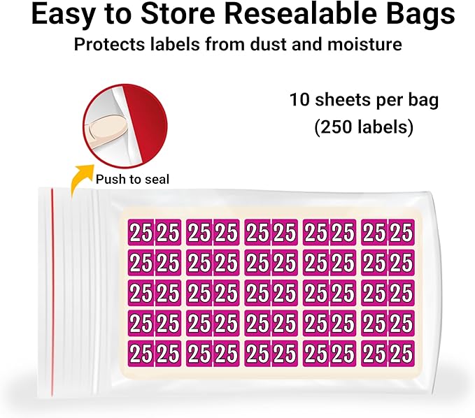 MINI 2025 Year Labels, Doctor Stuff 2025 Chart Stickers, Fuchsia Color Coded, Colwell Jewel Tone Style, USA Made Year Stickers for End Tab File Folders, 250/Pack, 1 Package, 1/2" x 1" - Small Labels